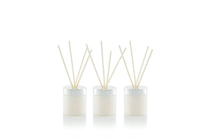 Sea Breeze Mini Diffuser Gift Set